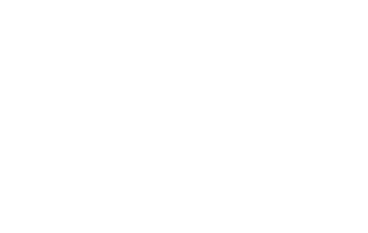 Consumer Action Law Group