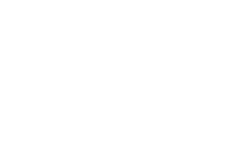 Peak Financial